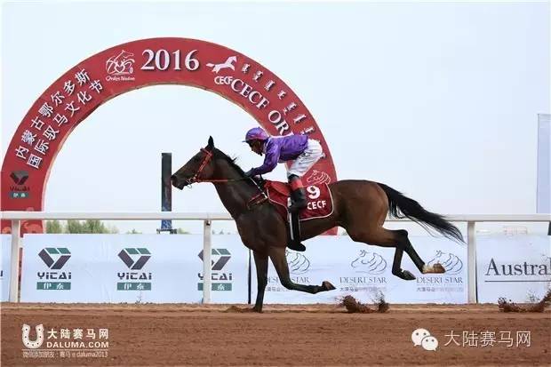 岂止比赛，更是盛会—2016内蒙古鄂尔多斯国际驭马文化节成功举办