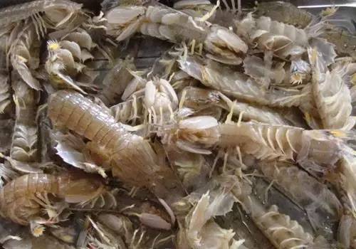 威海的海鲜什么时候是旺季,威海应季海鲜