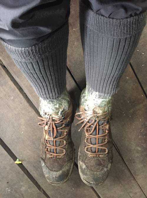 不被蚂蟥咬一次，怎能算走过墨脱｜徒步墨脱大结局