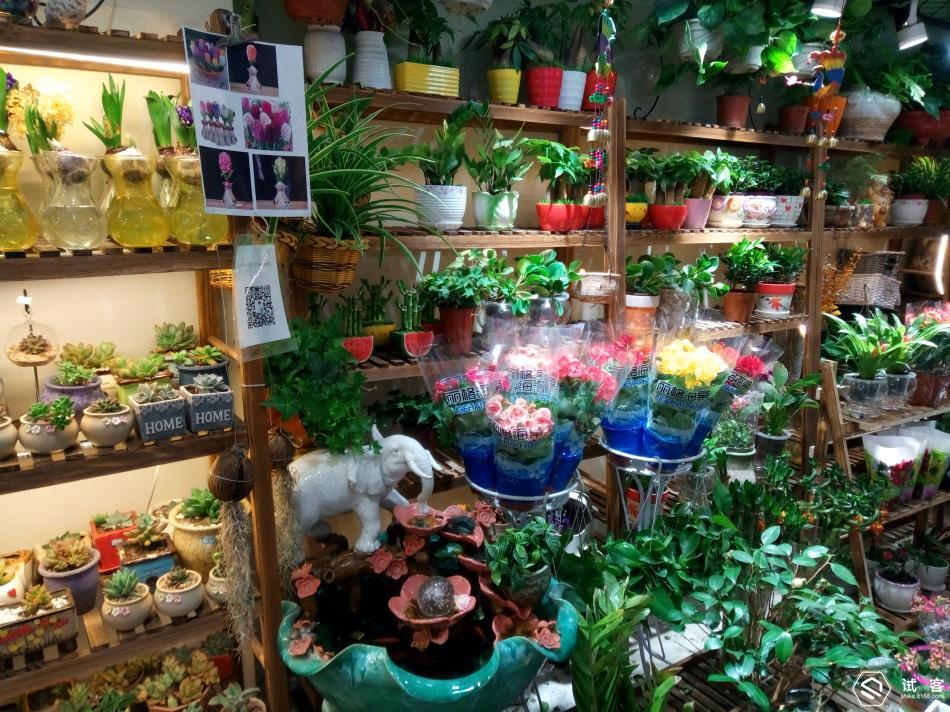 千元续航快充,千元快充手机