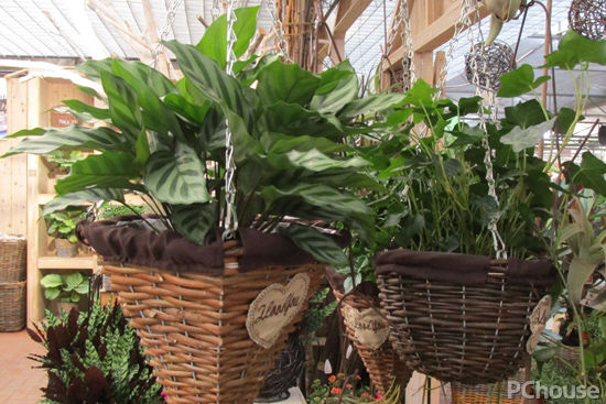 冬天甲醛更活跃如何躲避甲醛危害,怎么测甲醛和清除甲醛