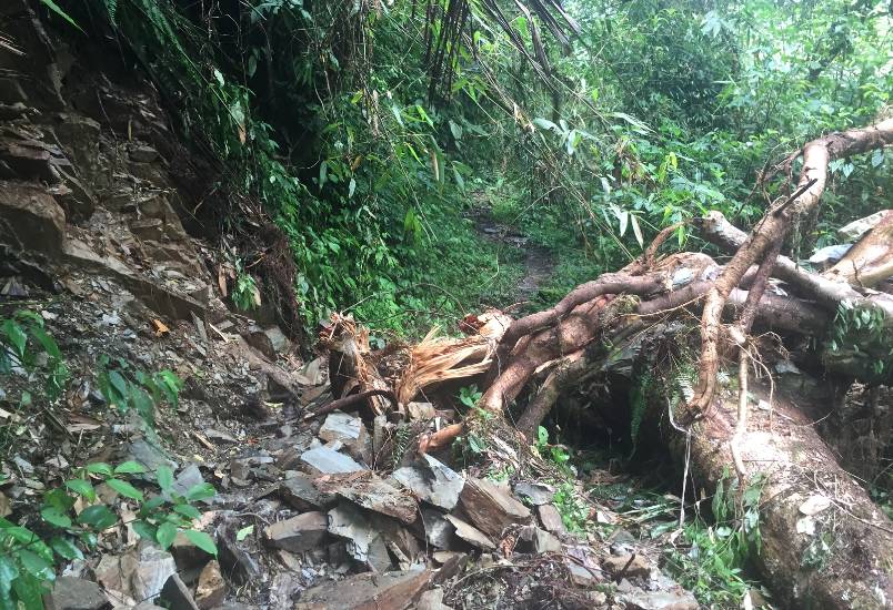 不被蚂蟥咬一次，怎能算走过墨脱｜徒步墨脱大结局