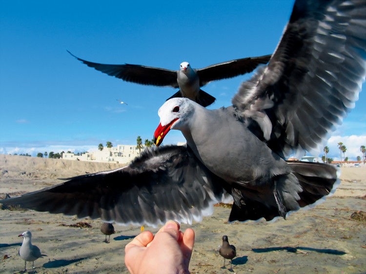 黄昏海边拍照片怎么拍出高级感,海景照拍摄技巧