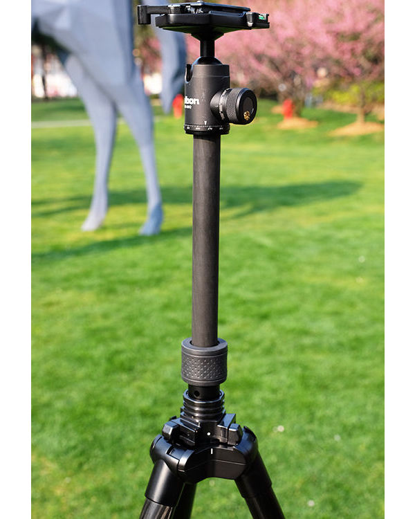 坚固更轻便*钟金**碳纤反折脚架UTC-63体验