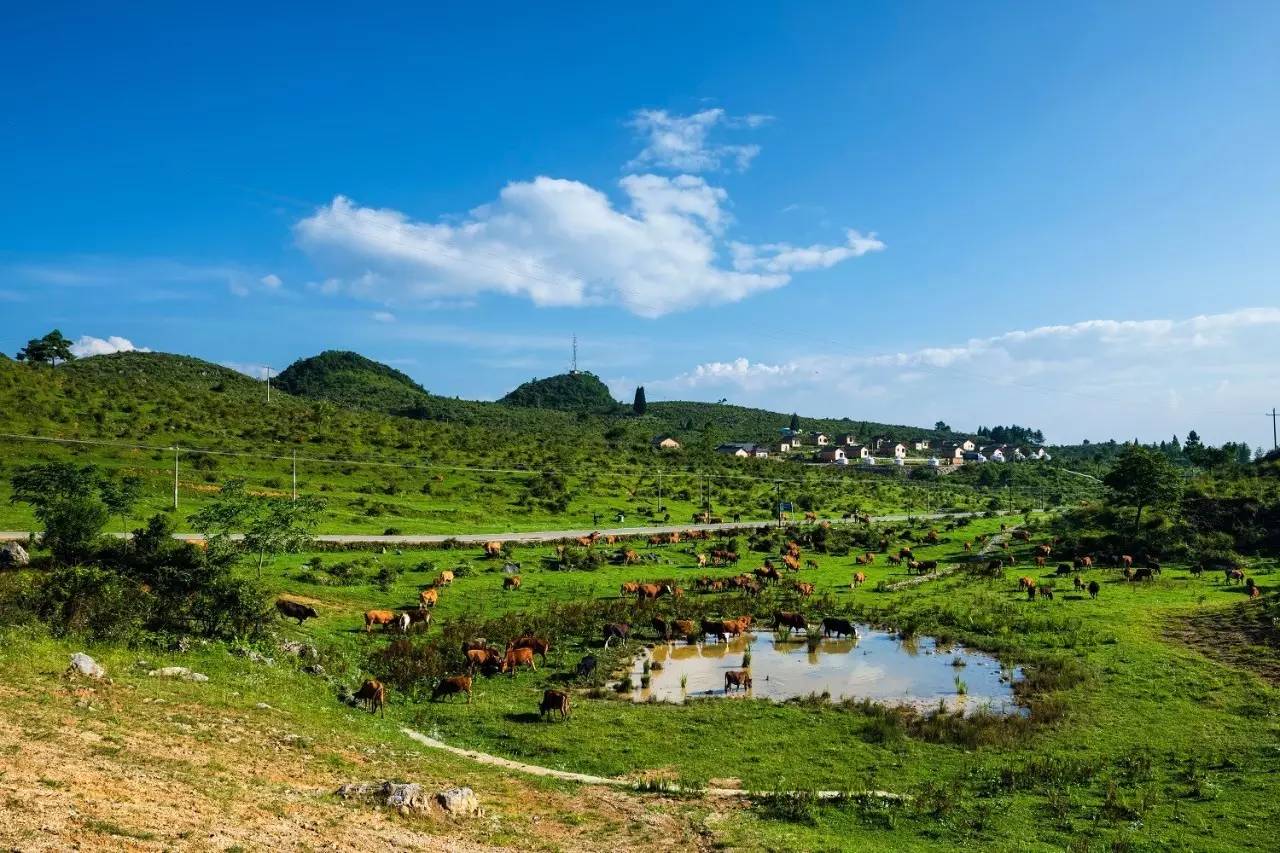 你,为什么离不开石柱!