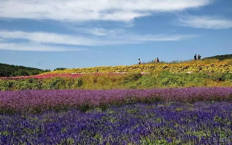 滨河新区,银川滨河新区以后怎么样