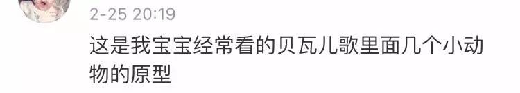 今朝上海｜闻臭师、遛娃师、衣橱整理师……这些奇葩职业的收入竟然那么高！也许你也隐藏着某些赚钱技能哦~