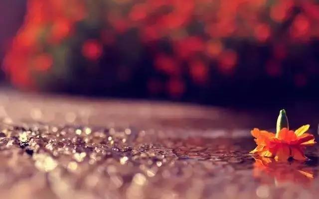 收藏英语语法,小学英语没有音标怎样记单词啊