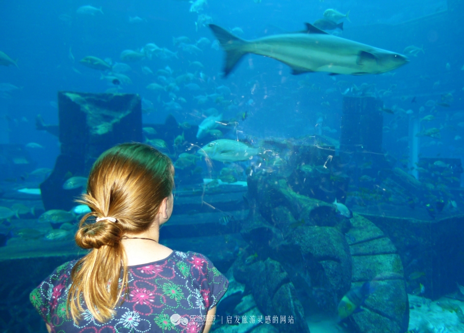 迪拜海洋馆房间,迪拜海底世界