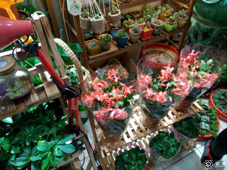 千元内快充手机,千元以下的快充手机