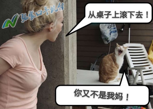 张家口新闻播报视频,张家口手机台新闻联播