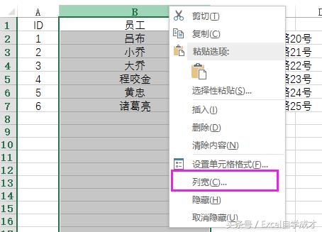 excel表格列宽不能调整怎么办,excel快速调整行高或列宽技巧