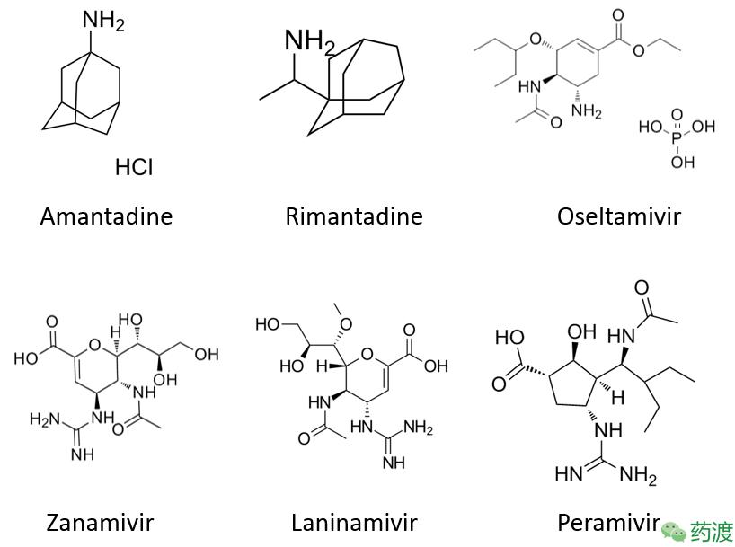 从H7N9卷土重来谈禽流感及药物现状