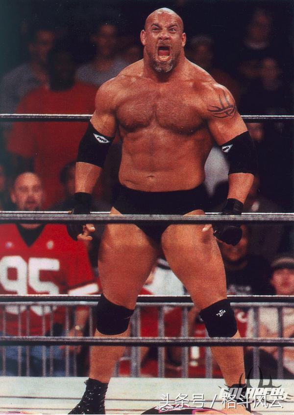 wwe布洛克莱斯纳vs送葬者2015,盘点wwe布洛克·莱斯纳的十大对手