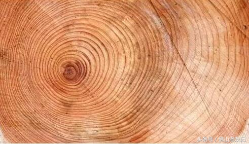 强大的生存技能,野外的生存技能