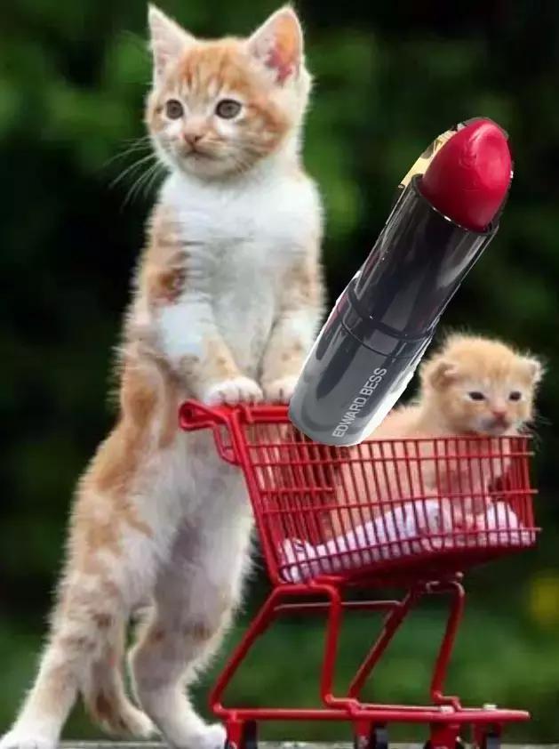 巨无霸口红,不好意思的口红