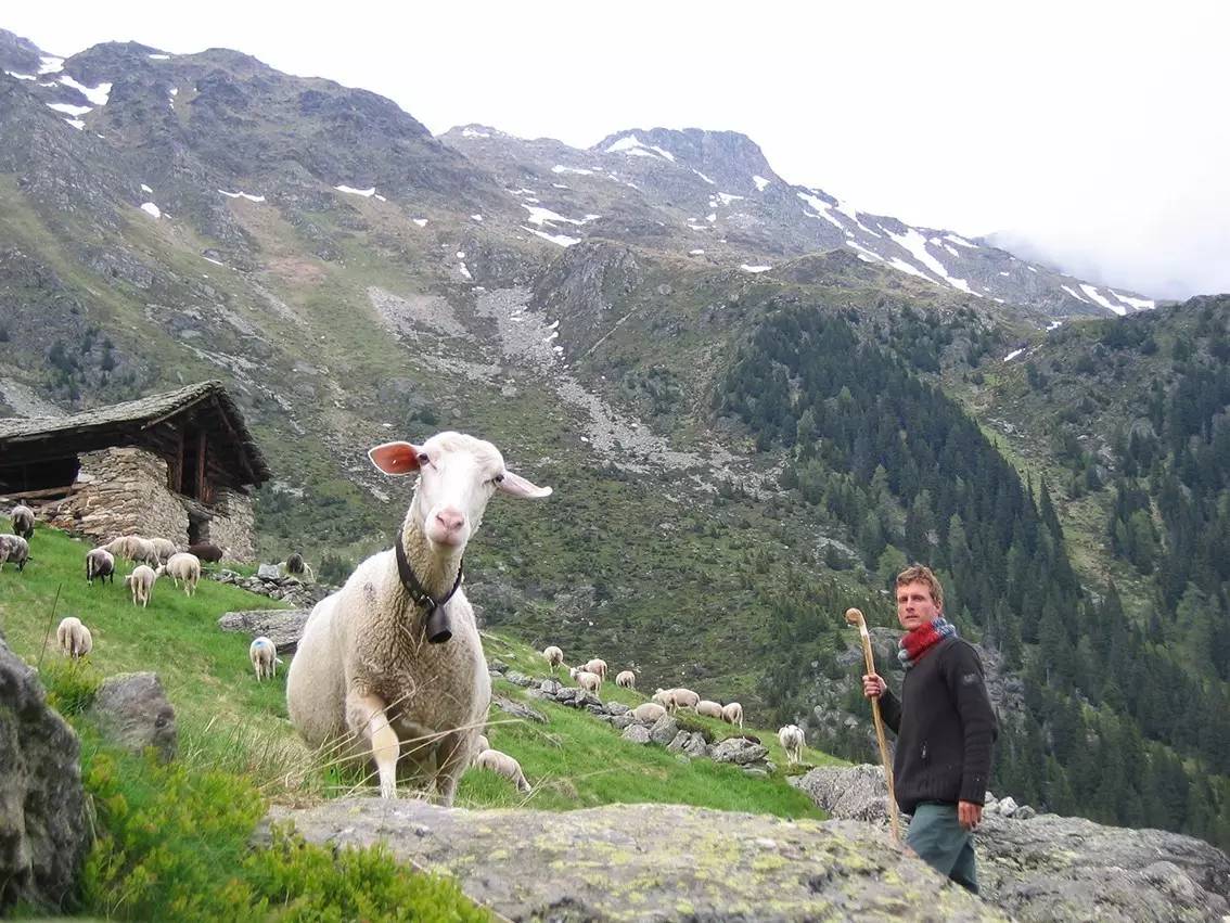 成都最牛中医,四川10名最牛的中医