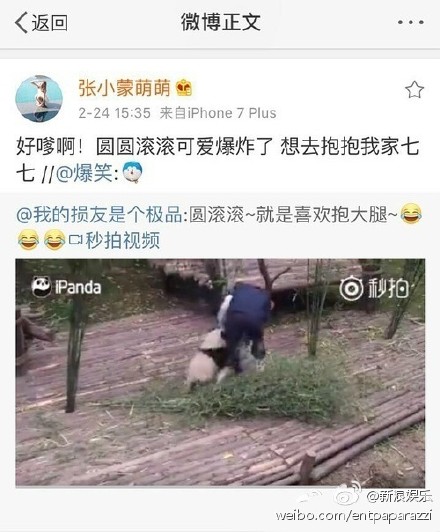 王思聪豆得儿甜蜜,豆得儿张小蒙王思聪