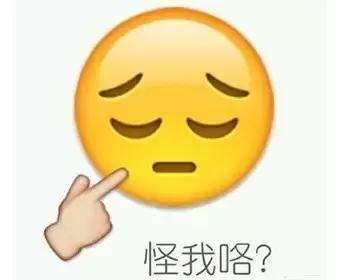 傻傻分不清汉字四胞胎,傻傻分不清的汉字双胞胎