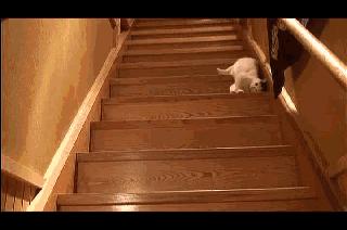 钢材销售员的一天，简直太形象了！笑喷……