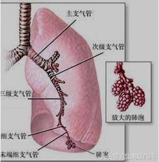各种咳嗽的病症都有什么食疗,常见咳嗽有什么特效药