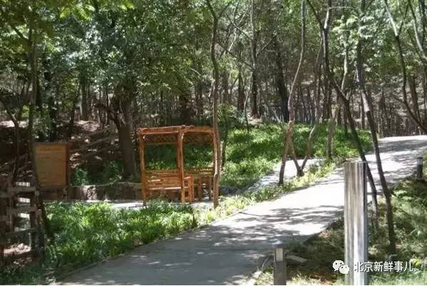 北京植物园踏青赏花,踏青赏花北京