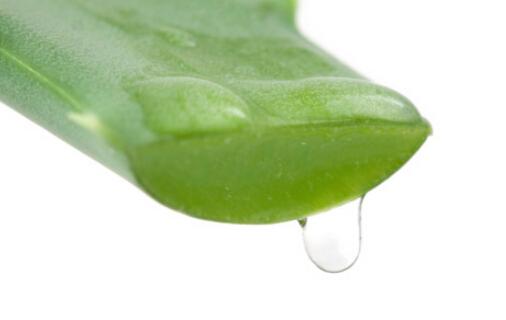 自制面膜哪个牌子好用又简单,白术白附子白芷僵蚕绿豆自制面膜