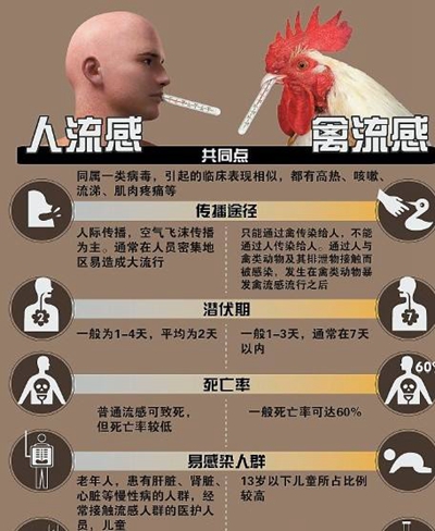 h7n9禽流感最新消息广东,h7n9禽流感最新消息海南
