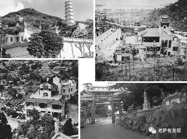 胡一虎张光义,胡一虎的早年经历