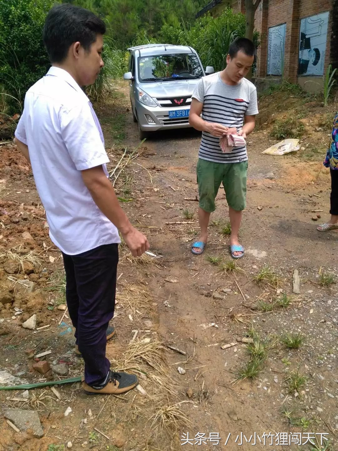 竹鼠养殖是骗局吗,竹鼠养殖加盟代理