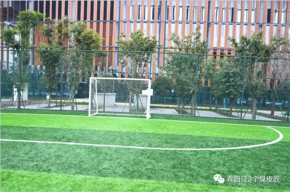 3个臭皮匠肉身亲测青白江文体中心，限时免费！约吗？