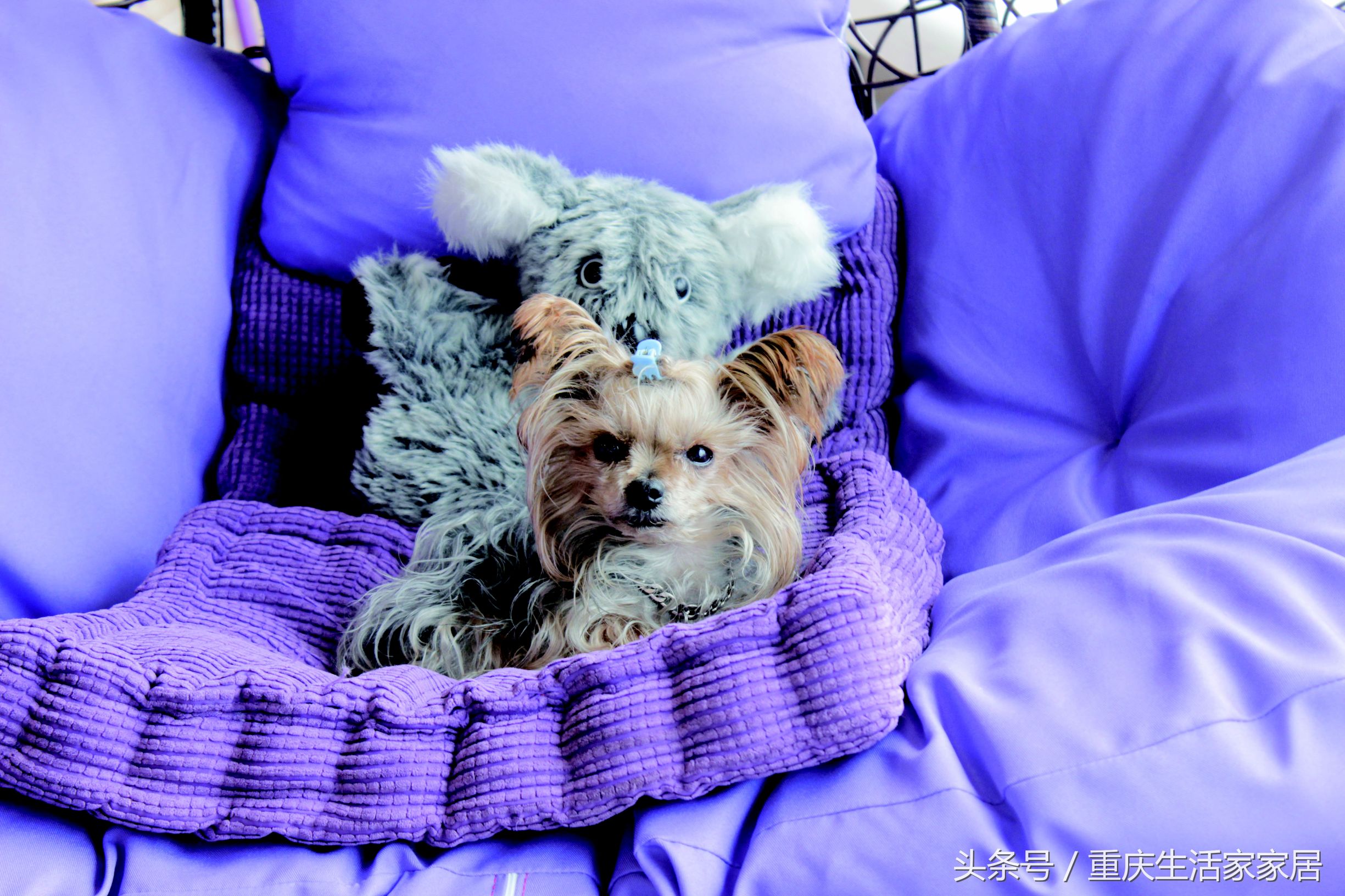 生活家装修房子效果图,海棠晓月c区江景房190万