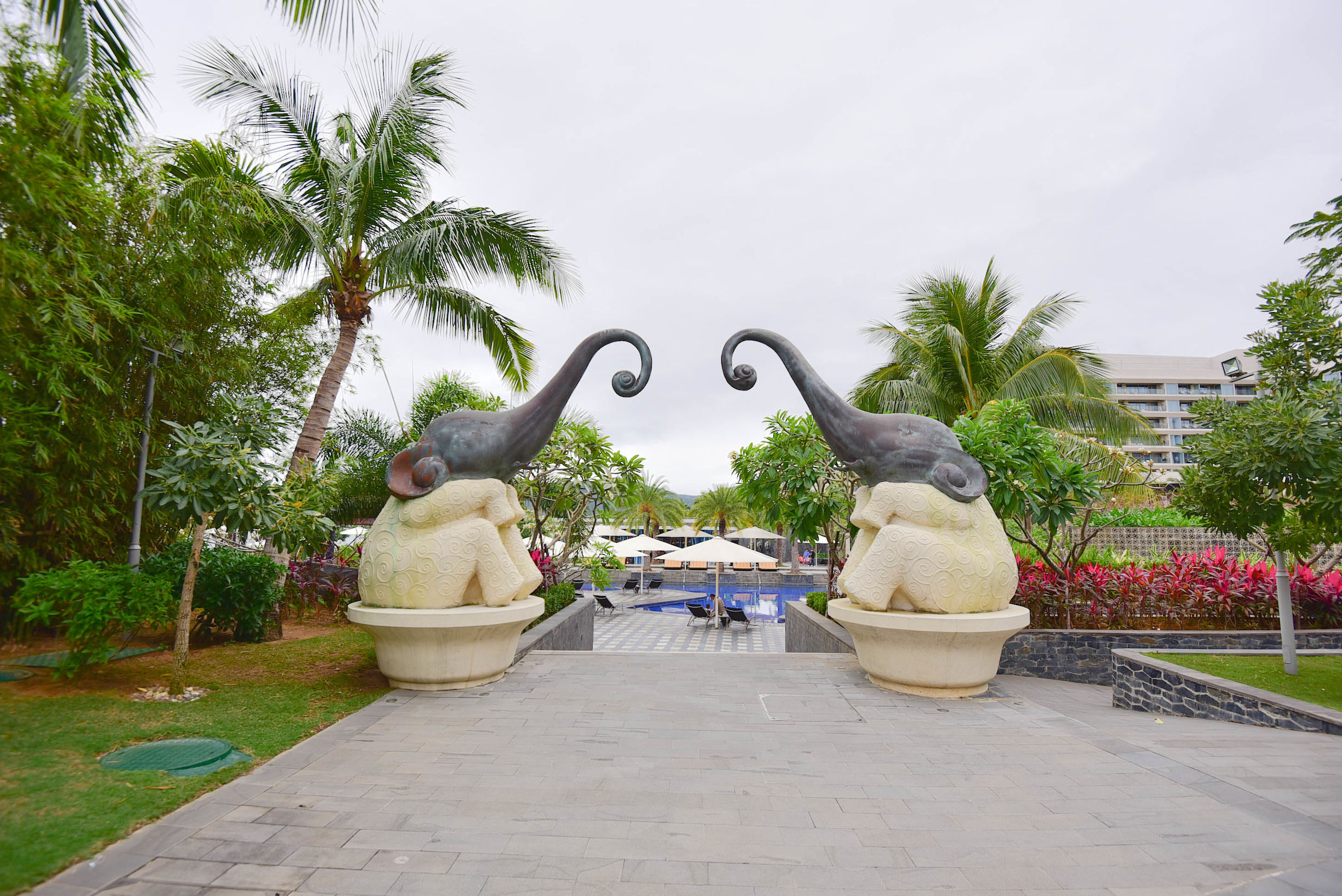 那片天空那片海这里的美人鱼不会游泳