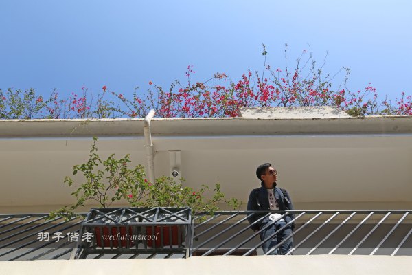 居于涟岸隐于湖,到肇庆体验离尘不离城的精致慢生活