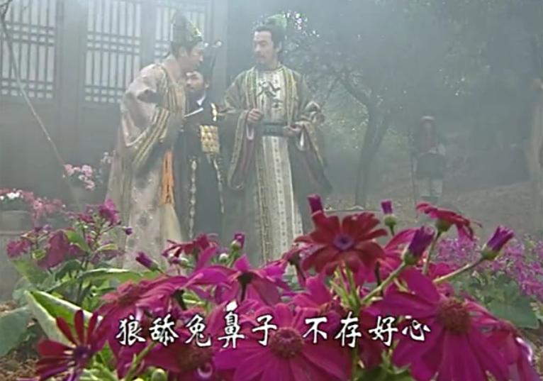 陆毅少年包青天简介,陆毅版包青天的主要演员名单