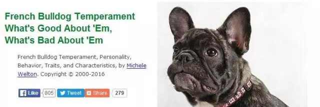 法国斗牛犬狗粮推荐,法国斗牛犬吃东西的视频