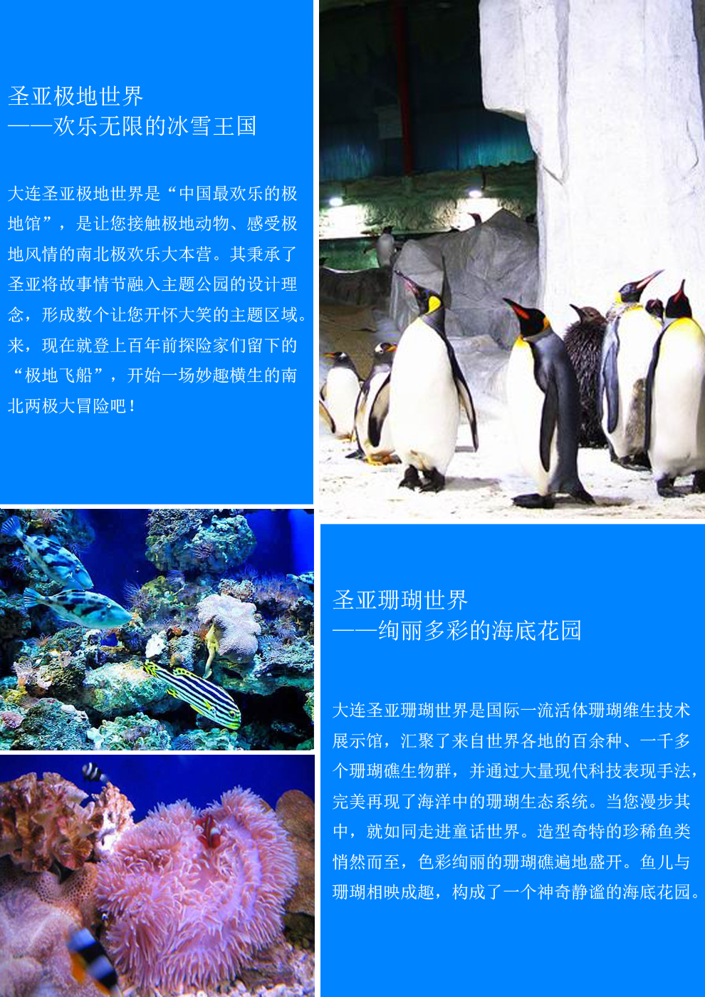 大连圣亚海洋世界坐几路公交车,大连圣亚海洋世界飞鸟萌宠乐园