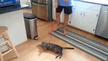 相信我！那些东西再火爆，也坚决不买