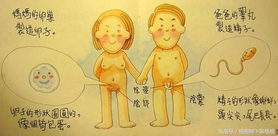 如果用这样的课本上课，妈妈再也不担心我上课睡觉了