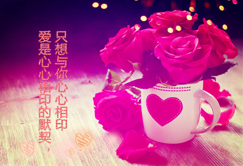 唯美意境的句子带图片,小清新绿色唯美图片