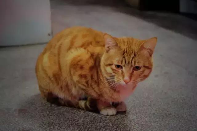 惠州哪里的米粉好吃又正宗,回忆杀还记得你的童年梦想吗