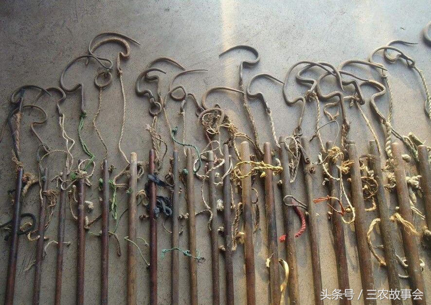 农民卖玉米收粮贩子有什么猫腻,农民卖玉米处理过程注意什么