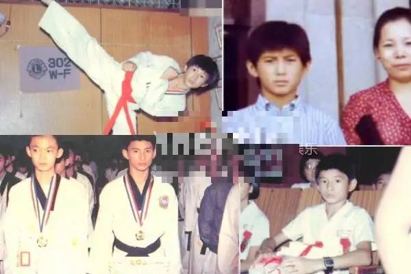 除了jay以外还有哪些明星,井柏然江一燕