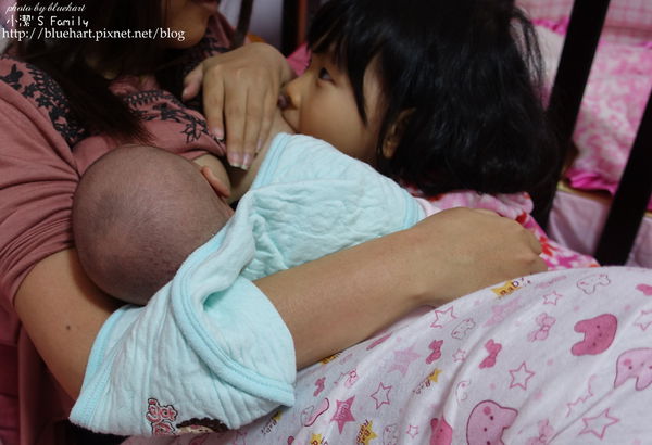 纯母乳断奶前我们应该做什么工作,母乳怎么戒最快最有效