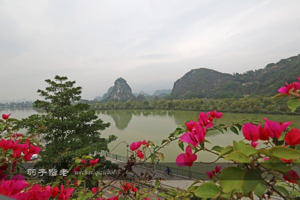 居于涟岸隐于湖，到肇庆体验离尘不离城的精致慢生活