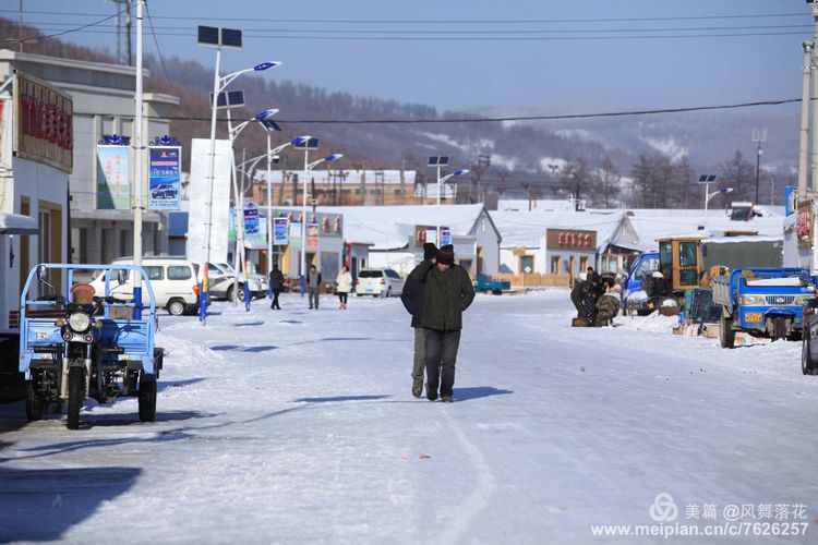 白狐千年等待只为今生相遇,白狼一生只爱一人