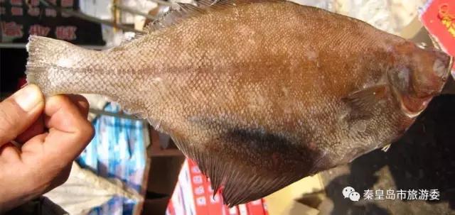 秦皇岛人吃螃蟹,秦皇岛海鲜什么时候吃最好