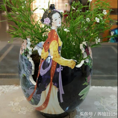 用酒瓶子做花盆图片大全,自制酒瓶花盆图片大全