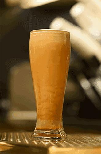 星巴克开卖“黑啤”！全杭州仅一家，48块一杯，干了ta