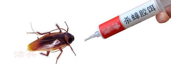 蟑螂用什么药能快速消灭最彻底,消灭蟑螂的药